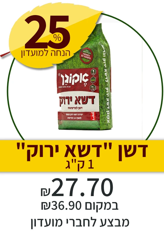 דשא ירוק